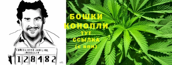 гашик Белокуриха