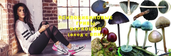 кокаин премиум Беломорск
