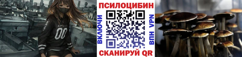 Купить  Лобня  Галлюциногенные грибы прущие грибы 